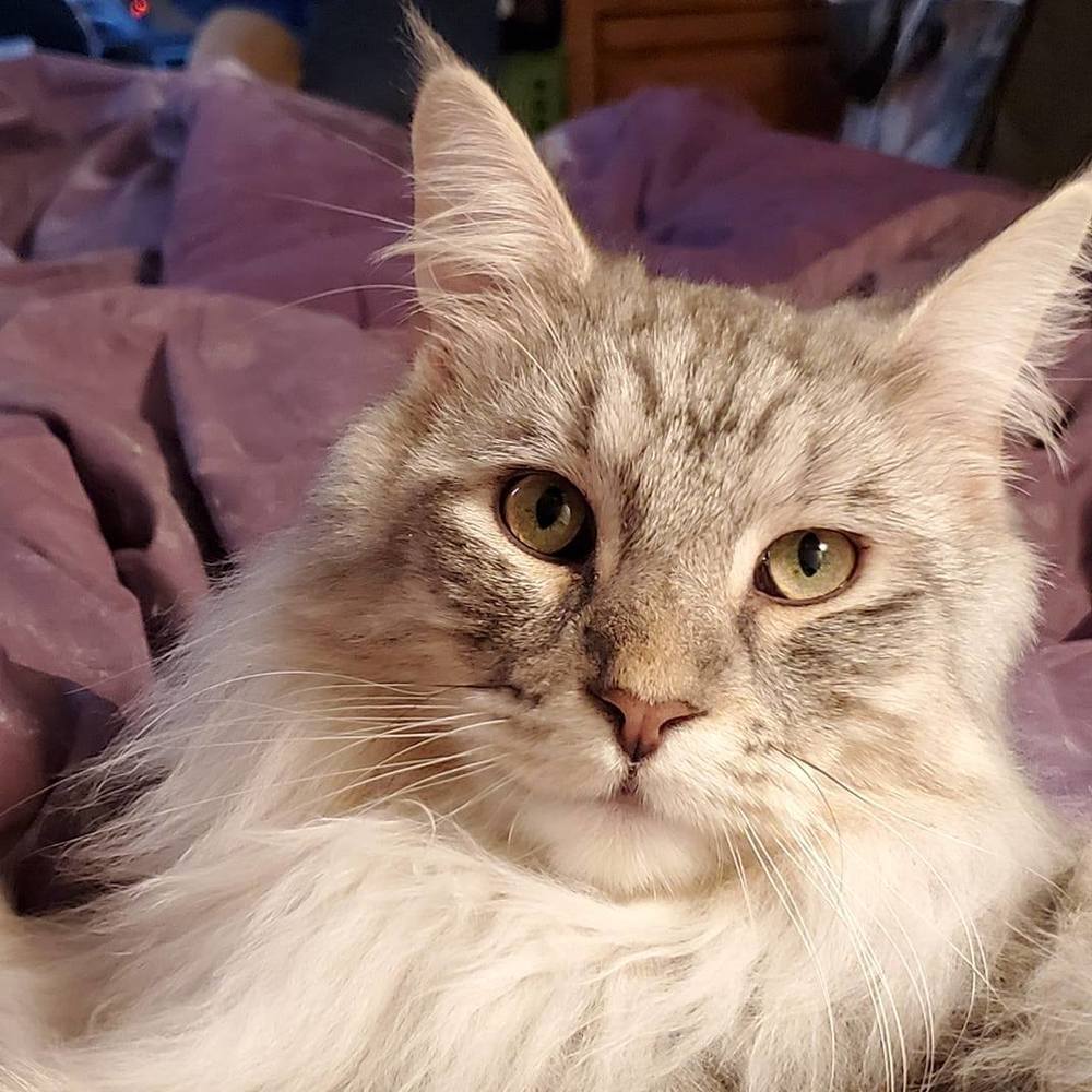 Meet your Posher, Share